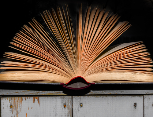 The Secret Life of Books