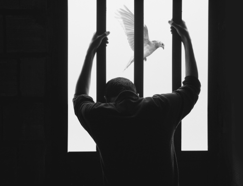 Nailing Themselves to Their Own Crosses