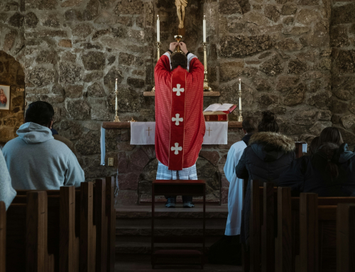 The Priest in Literature
